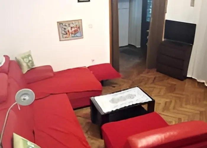 Apartment Branka 3